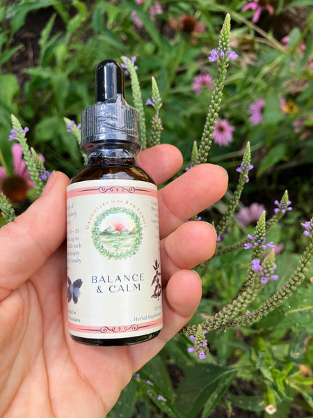 Balance and Calm tincture held in a patch of Blue Vervain flowers
