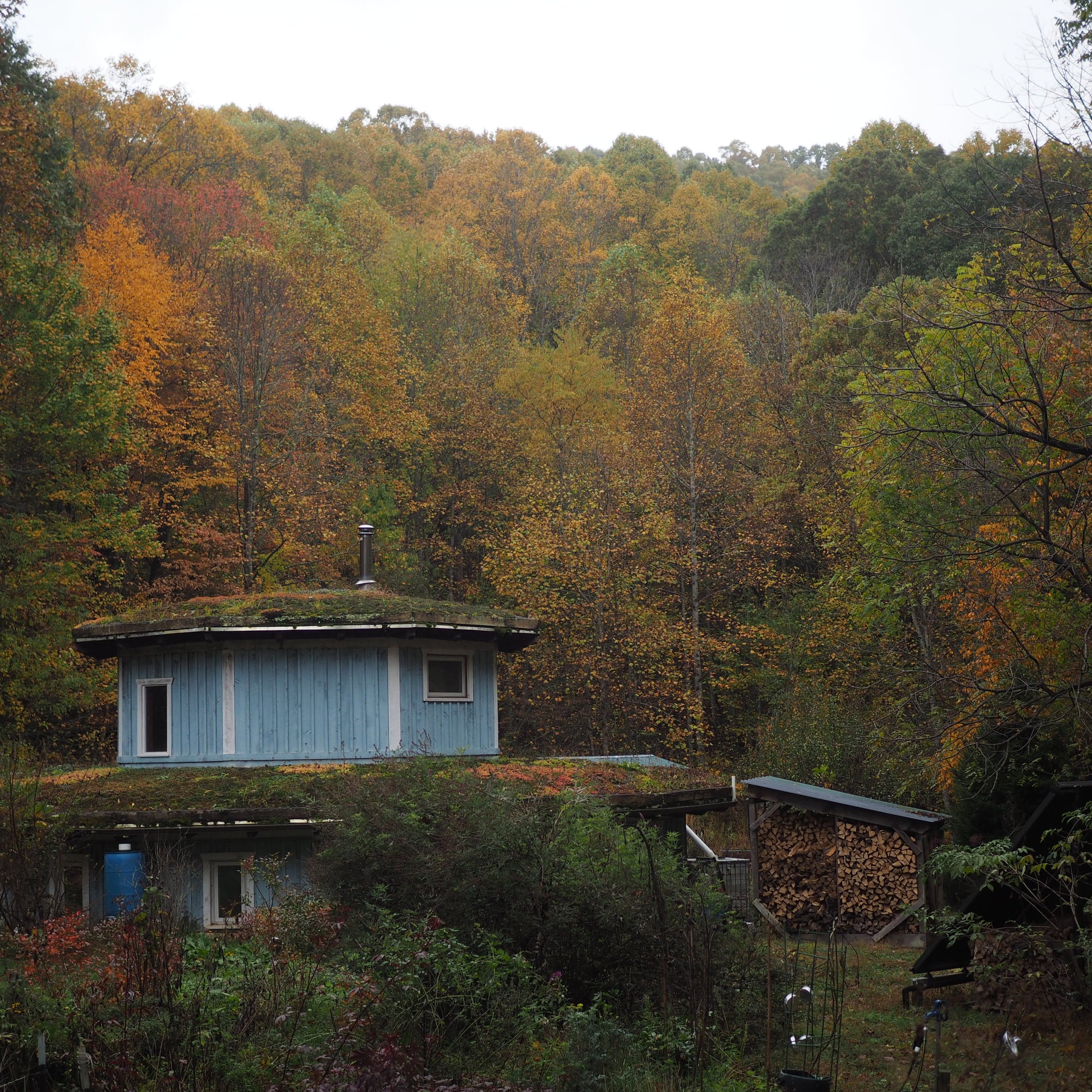 A round, blue house with colorful plants on the roof sits in a forest of tall trees displaying their fall foliage