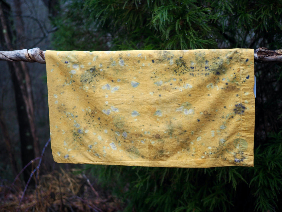 Ecoprinting Silk and Cotton Pillow Cases, July 6