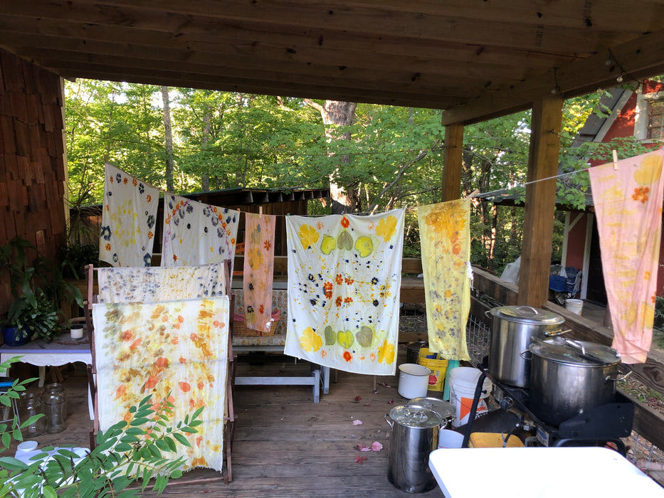 All Things Ecoprinting & Bundle Dyeing Recorded Zoom Class