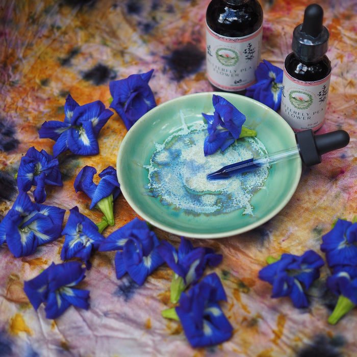Butterfly Pea Flower Tincture