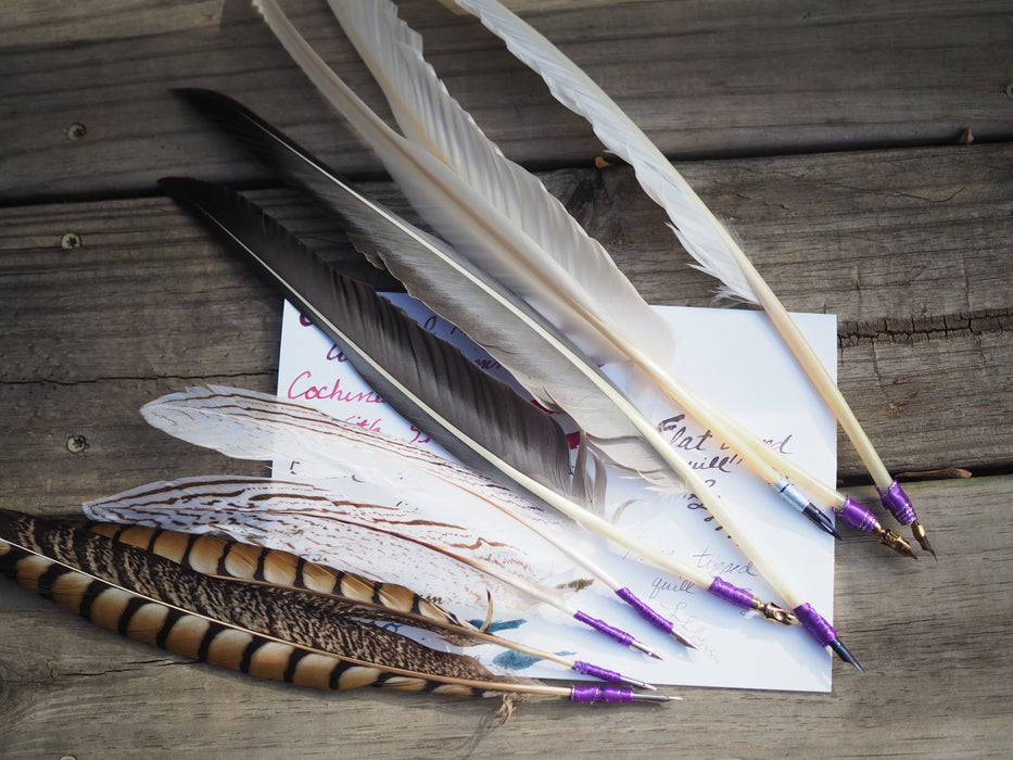 Writing Quills