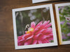 A note card with a photo of a bee on a pink dahlia