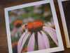 A note card with a photo of an echinacea flower with a honey bee collecting pollen.
