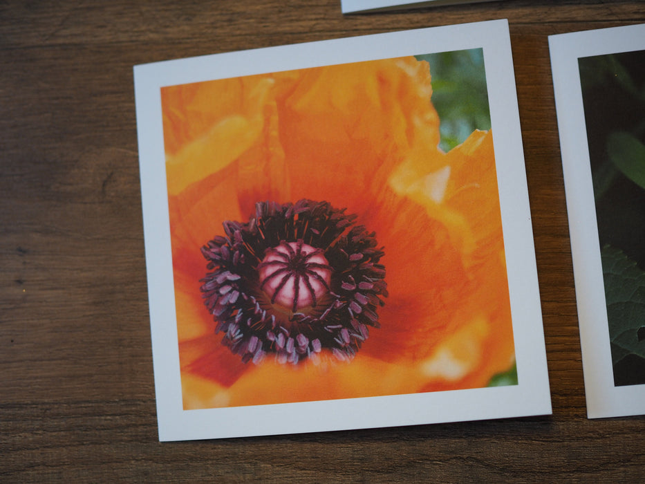 close up of a note card with a poppy photo