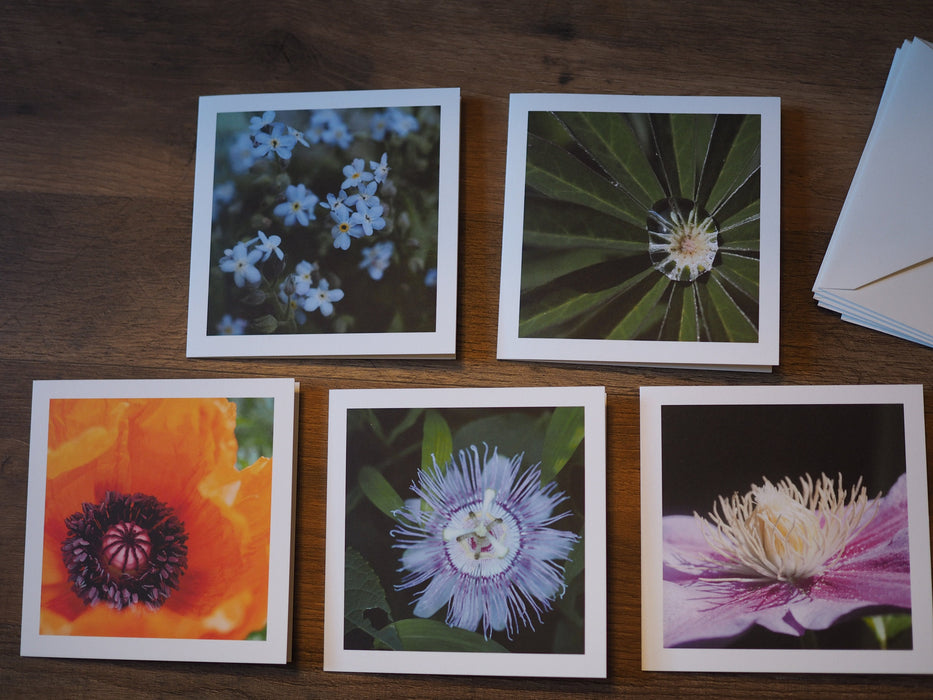 Five note cards with pictures of flowers