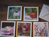 Five notecards with photos of flowers and strawberries on them