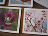 two note cards with photos of a purple poppy on the right and peach flowers on a tree branch on the right.