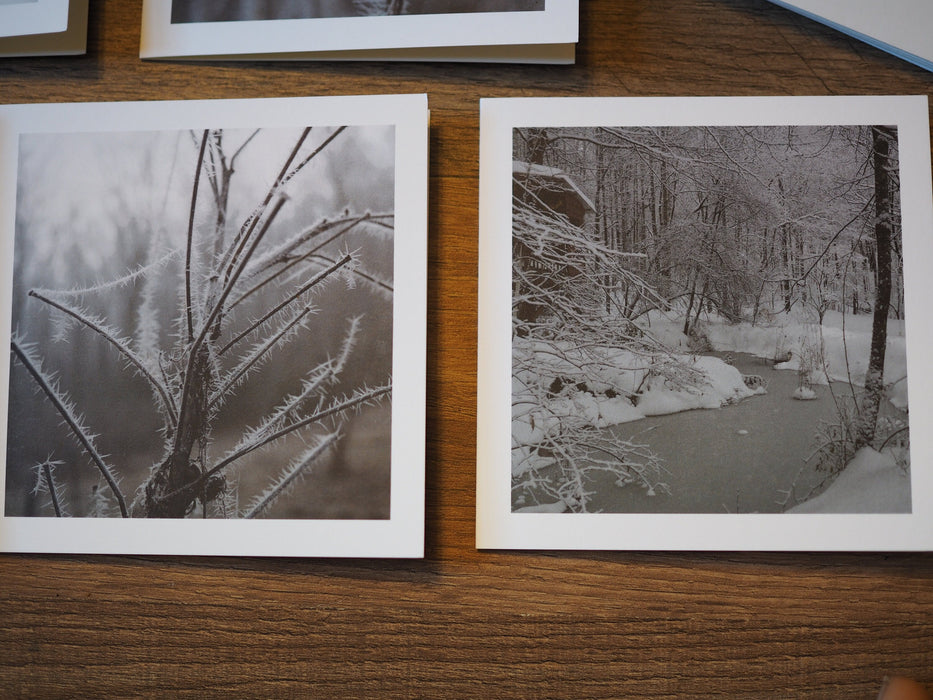 Two note cards.  The one on the left with a photo of icicles on branches.  The one on the right with a photo of an icy pond and snow covered forest.