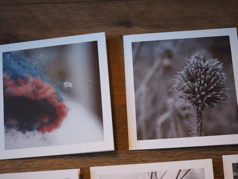 Two note cards.  The one on the left is a picture of a snowflake on the edge of a knitted item.  The card on the right is a photo of an echinacea seed head covered in icicles.