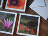 Three note cards.  The one on the left has a photo of a mostly closed purple poppy.  The one on the right has a photo of four red poppies with a field of green behind them.  The top card has a photo of the center of a large red poppy.