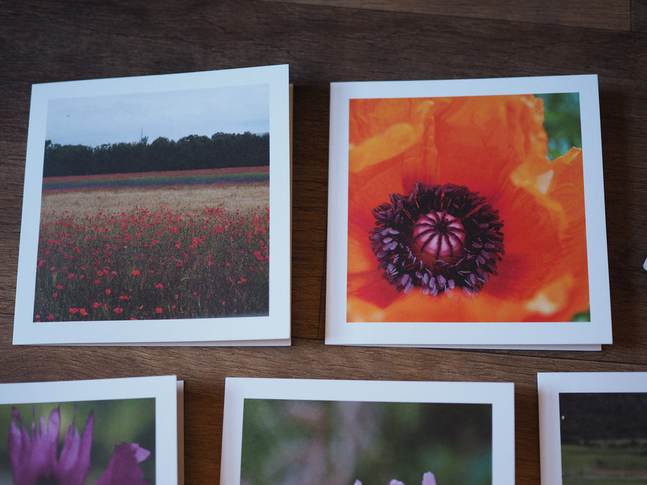 Two photo cards.  The one on the left is a large field of red poppies.  The card on the right is a photo of the center of a large red poppy.