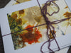 Close up of flower and leaf prints on the front of ecoprinted notecards tied with purple yarn