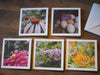 five note cards with photos of honey and bumble bees on flowers