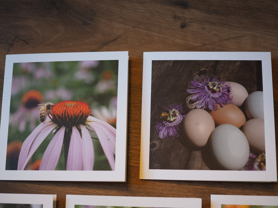 Two note cards.  The one on the left has a photo of an echinacea flower with a honey bee on it.  The card on the right has a photo of two passion flowers on chickens eggs.  The flowers have bees on and around them.