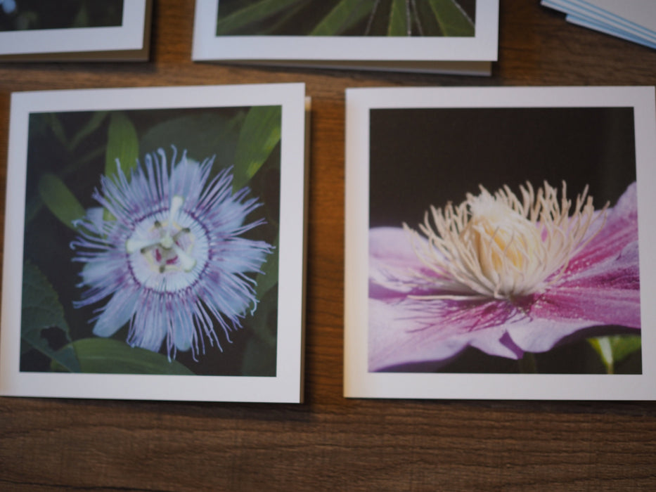 close up of two flower note cards with passion flower and clematis photos