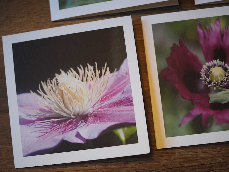 two note cards with pictures of a clematis on the left and a purple poppy on the right.