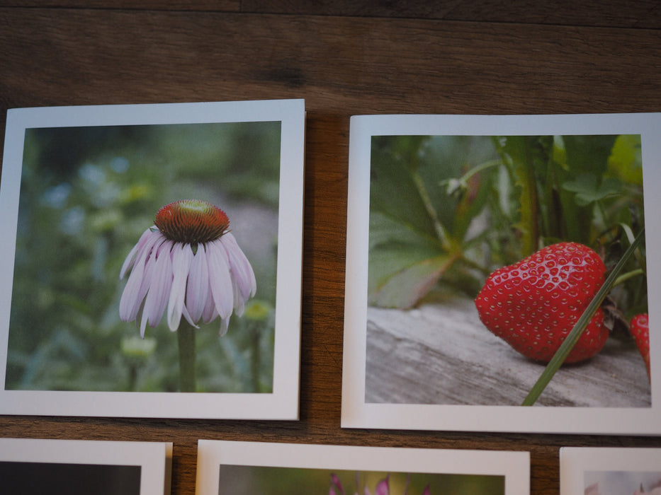 two photo note cards.  One with an echinacea flower on the left.  One with a ripe, red strawberry on the right.
