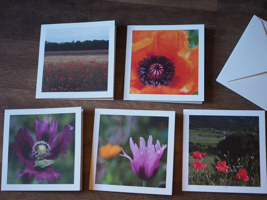 five note cards with photos of poppies on them.