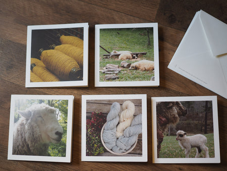 five notecards with photos of sheep or yarn on them