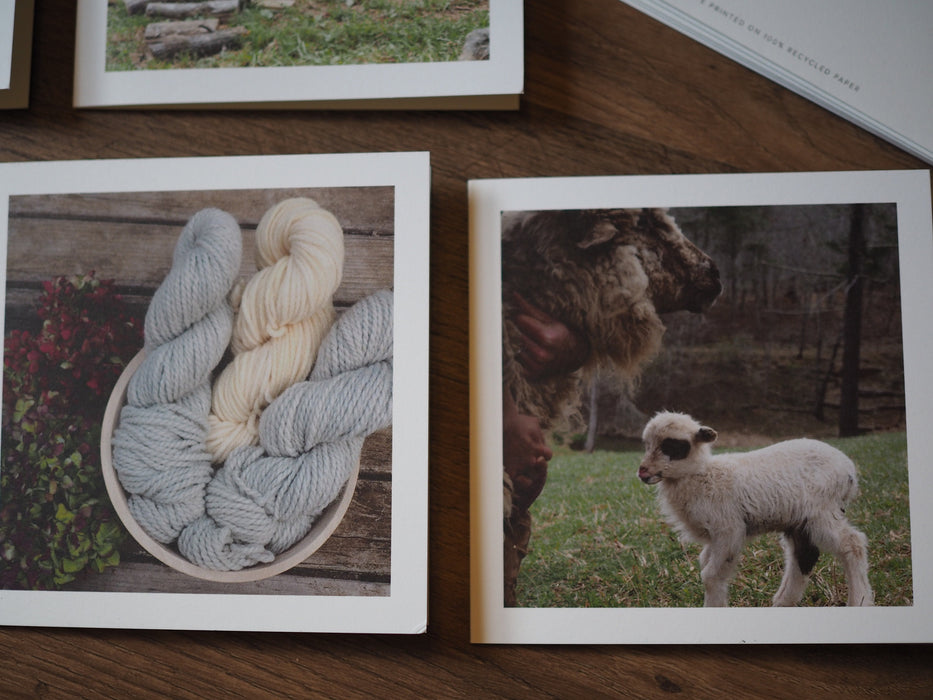two photo note cards.  the one on the left shows a bowl of yarn, the one on the right shows a white lamb.